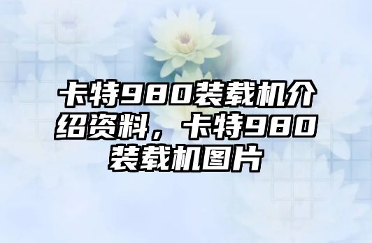 卡特980裝載機(jī)介紹資料，卡特980裝載機(jī)圖片