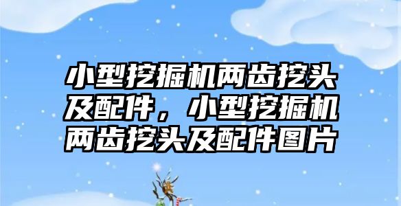 小型挖掘機(jī)兩齒挖頭及配件，小型挖掘機(jī)兩齒挖頭及配件圖片