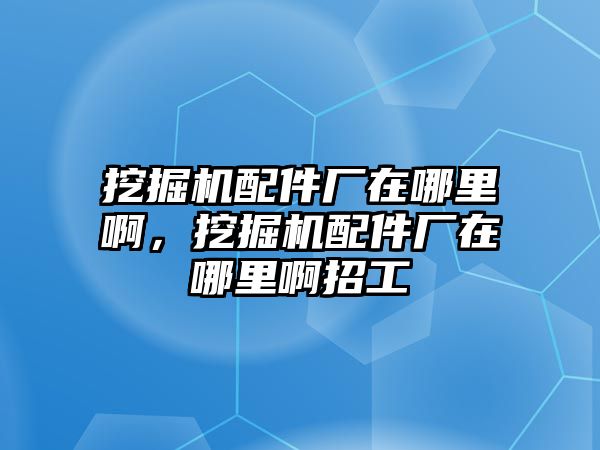 挖掘機(jī)配件廠在哪里啊，挖掘機(jī)配件廠在哪里啊招工