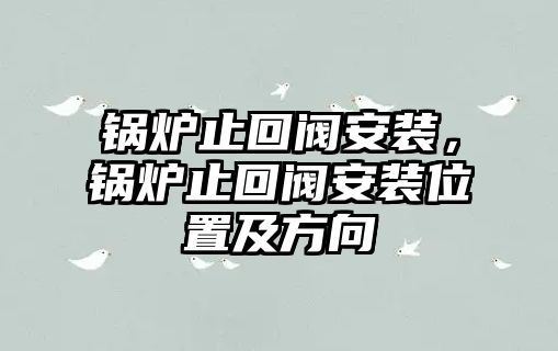 鍋爐止回閥安裝，鍋爐止回閥安裝位置及方向