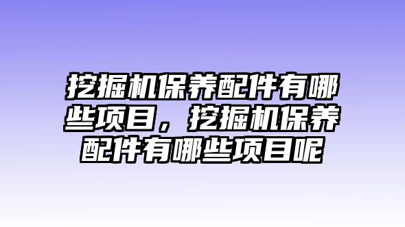 挖掘機(jī)保養(yǎng)配件有哪些項(xiàng)目，挖掘機(jī)保養(yǎng)配件有哪些項(xiàng)目呢