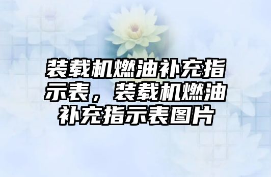 裝載機(jī)燃油補(bǔ)充指示表，裝載機(jī)燃油補(bǔ)充指示表圖片