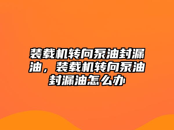 裝載機轉向泵油封漏油，裝載機轉向泵油封漏油怎么辦