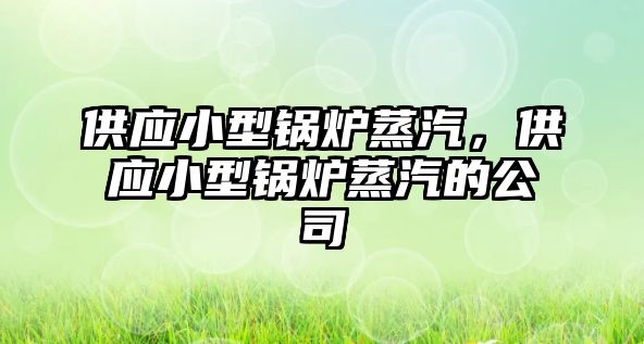 供應小型鍋爐蒸汽，供應小型鍋爐蒸汽的公司