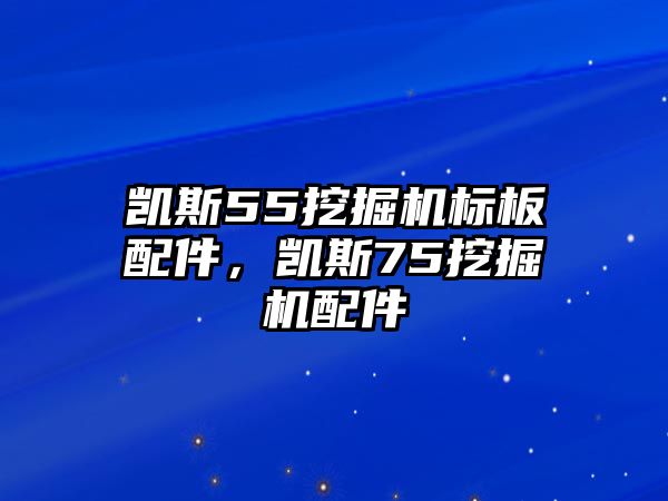 凱斯55挖掘機(jī)標(biāo)板配件，凱斯75挖掘機(jī)配件