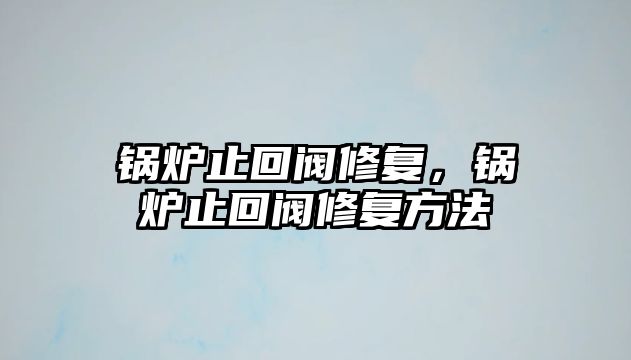 鍋爐止回閥修復(fù)，鍋爐止回閥修復(fù)方法