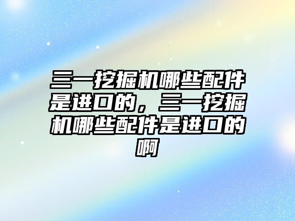 三一挖掘機哪些配件是進口的，三一挖掘機哪些配件是進口的啊