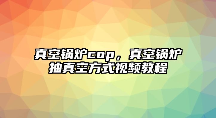 真空鍋爐cop，真空鍋爐抽真空方式視頻教程