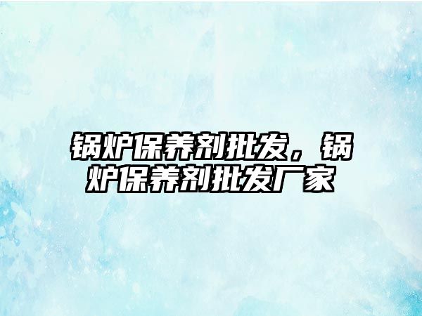 鍋爐保養(yǎng)劑批發(fā)，鍋爐保養(yǎng)劑批發(fā)廠家