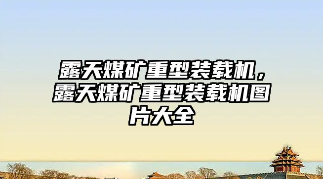 露天煤礦重型裝載機，露天煤礦重型裝載機圖片大全