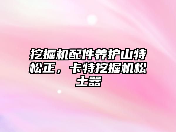 挖掘機配件養(yǎng)護山特松正，卡特挖掘機松土器