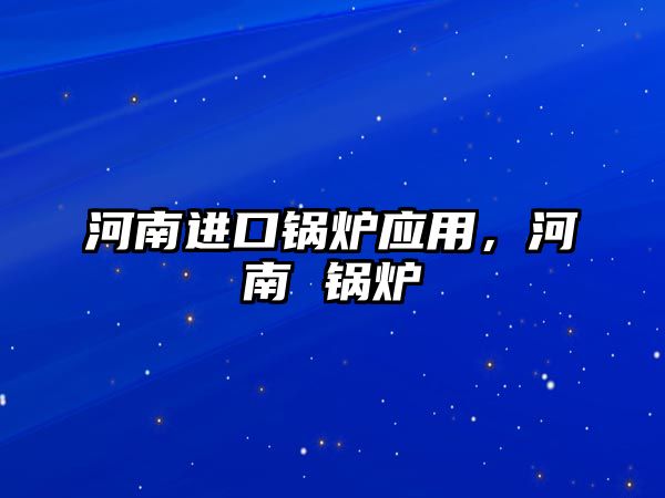 河南進(jìn)口鍋爐應(yīng)用，河南 鍋爐