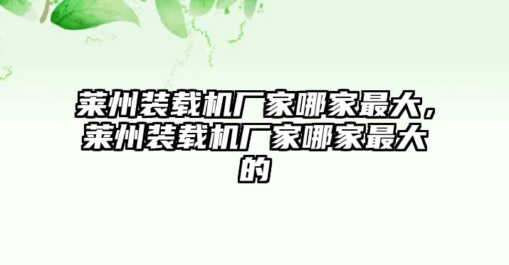 萊州裝載機(jī)廠家哪家最大，萊州裝載機(jī)廠家哪家最大的