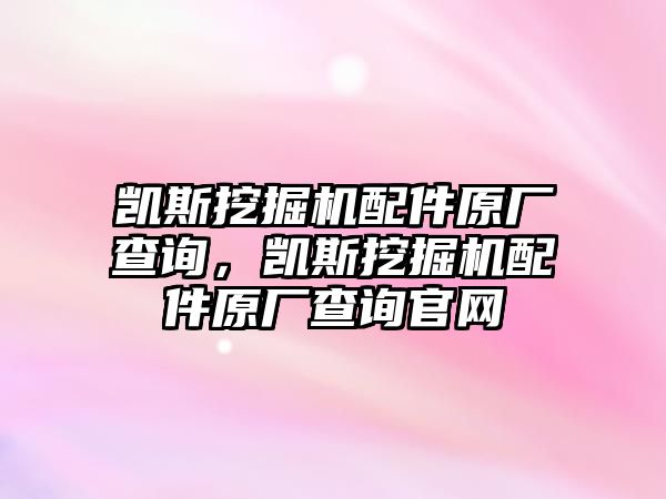 凱斯挖掘機(jī)配件原廠查詢，凱斯挖掘機(jī)配件原廠查詢官網(wǎng)