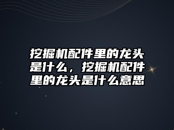 挖掘機配件里的龍頭是什么，挖掘機配件里的龍頭是什么意思