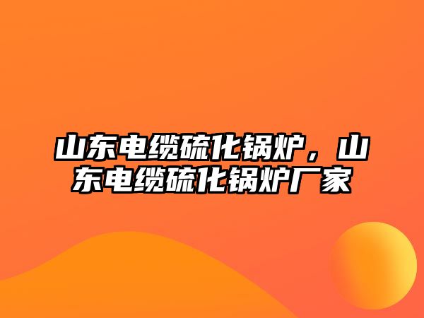 山東電纜硫化鍋爐，山東電纜硫化鍋爐廠家