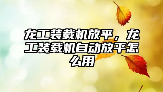 龍工裝載機放平，龍工裝載機自動放平怎么用