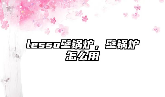 lesso壁鍋爐，壁鍋爐怎么用