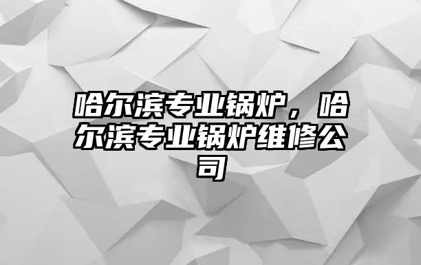 哈爾濱專業(yè)鍋爐，哈爾濱專業(yè)鍋爐維修公司