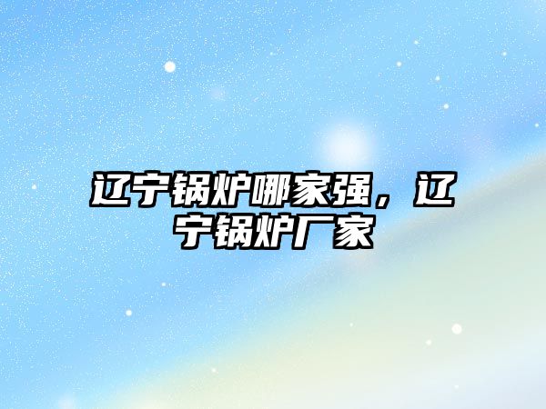 遼寧鍋爐哪家強(qiáng)，遼寧鍋爐廠家