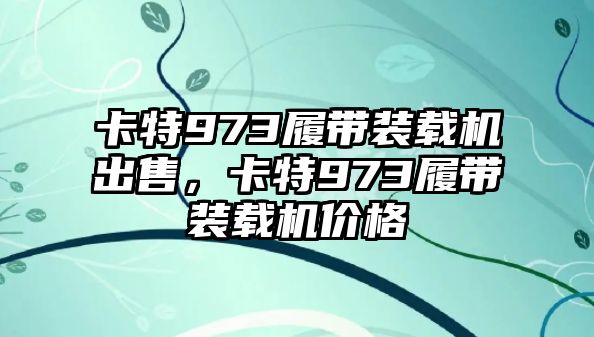 卡特973履帶裝載機出售，卡特973履帶裝載機價格