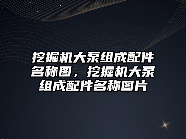 挖掘機大泵組成配件名稱圖，挖掘機大泵組成配件名稱圖片