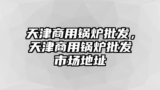 天津商用鍋爐批發(fā)，天津商用鍋爐批發(fā)市場地址