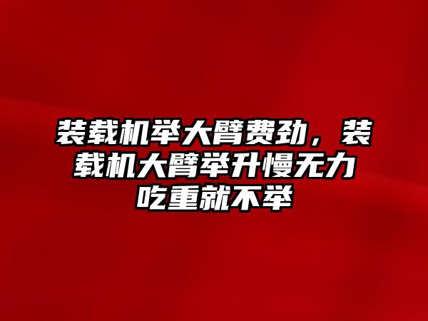 裝載機舉大臂費勁，裝載機大臂舉升慢無力吃重就不舉