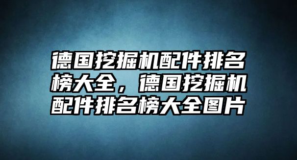 德國(guó)挖掘機(jī)配件排名榜大全，德國(guó)挖掘機(jī)配件排名榜大全圖片