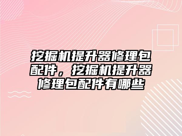 挖掘機提升器修理包配件，挖掘機提升器修理包配件有哪些