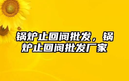 鍋爐止回閥批發(fā)，鍋爐止回閥批發(fā)廠(chǎng)家