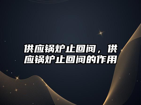 供應(yīng)鍋爐止回閥，供應(yīng)鍋爐止回閥的作用