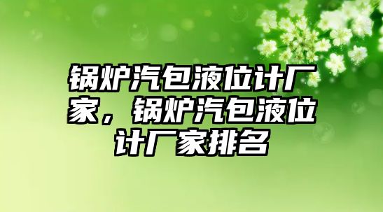 鍋爐汽包液位計(jì)廠家，鍋爐汽包液位計(jì)廠家排名