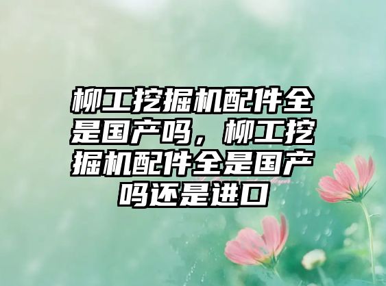 柳工挖掘機配件全是國產(chǎn)嗎，柳工挖掘機配件全是國產(chǎn)嗎還是進(jìn)口