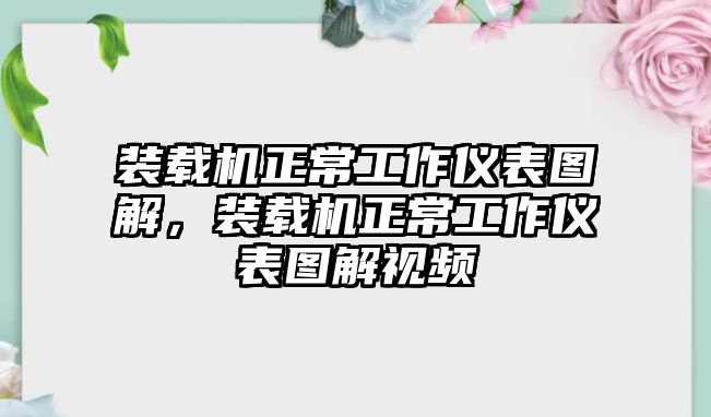 裝載機(jī)正常工作儀表圖解，裝載機(jī)正常工作儀表圖解視頻