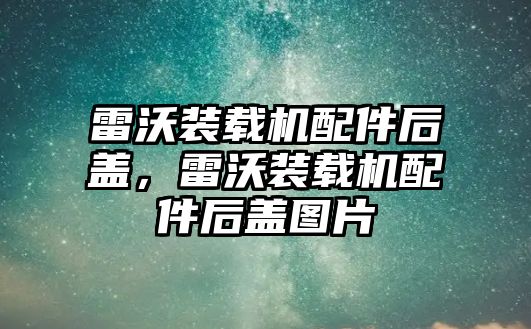 雷沃裝載機配件后蓋，雷沃裝載機配件后蓋圖片