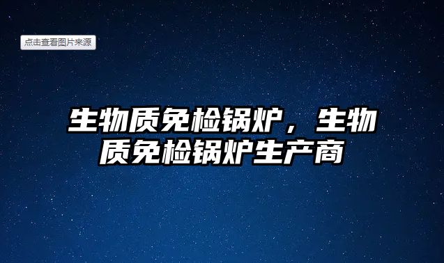 生物質(zhì)免檢鍋爐，生物質(zhì)免檢鍋爐生產(chǎn)商