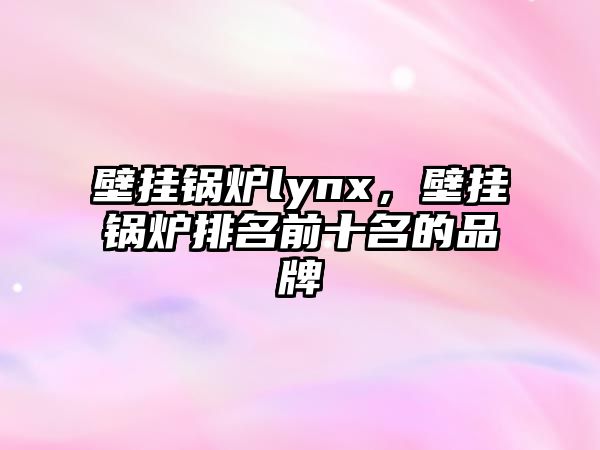 壁掛鍋爐lynx，壁掛鍋爐排名前十名的品牌