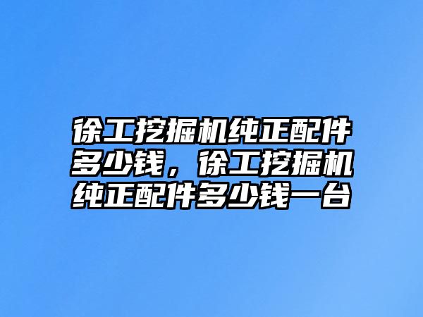 徐工挖掘機純正配件多少錢，徐工挖掘機純正配件多少錢一臺