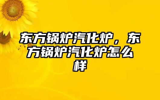 東方鍋爐汽化爐，東方鍋爐汽化爐怎么樣