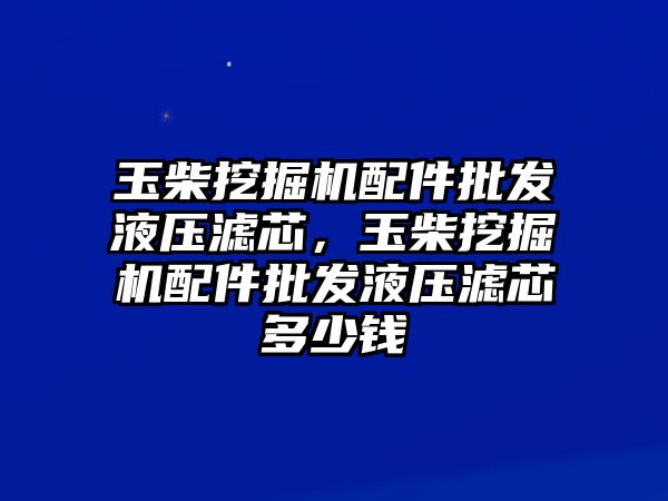 玉柴挖掘機(jī)配件批發(fā)液壓濾芯，玉柴挖掘機(jī)配件批發(fā)液壓濾芯多少錢