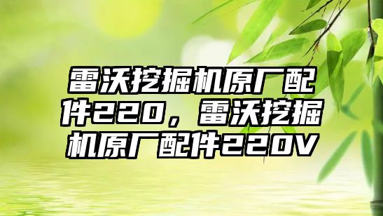 雷沃挖掘機原廠配件220，雷沃挖掘機原廠配件220V