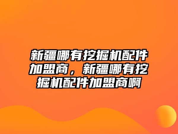 新疆哪有挖掘機(jī)配件加盟商，新疆哪有挖掘機(jī)配件加盟商啊