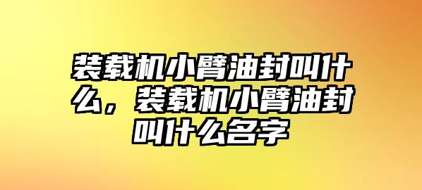 裝載機小臂油封叫什么，裝載機小臂油封叫什么名字