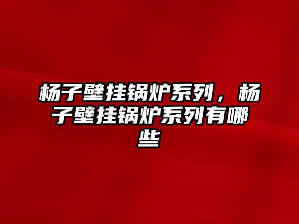 楊子壁掛鍋爐系列，楊子壁掛鍋爐系列有哪些