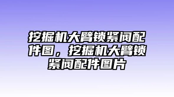 挖掘機(jī)大臂鎖緊閥配件圖，挖掘機(jī)大臂鎖緊閥配件圖片