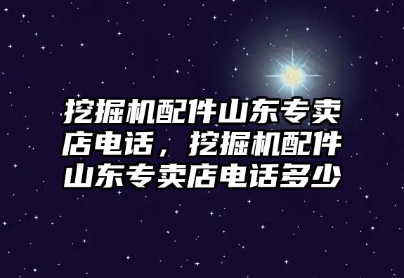 挖掘機(jī)配件山東專賣店電話，挖掘機(jī)配件山東專賣店電話多少