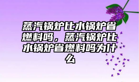 蒸汽鍋爐比水鍋爐省燃料嗎，蒸汽鍋爐比水鍋爐省燃料嗎為什么