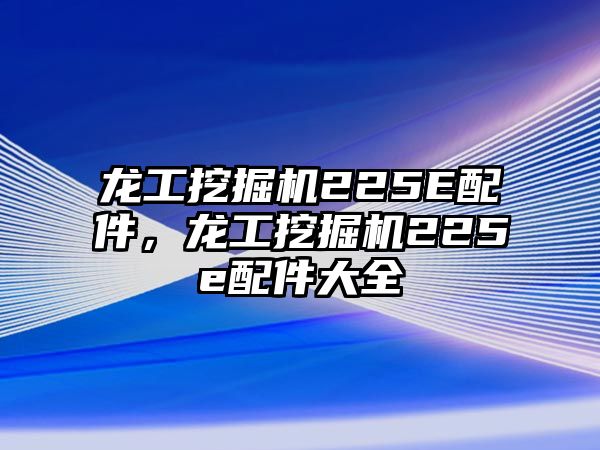 龍工挖掘機225E配件，龍工挖掘機225e配件大全