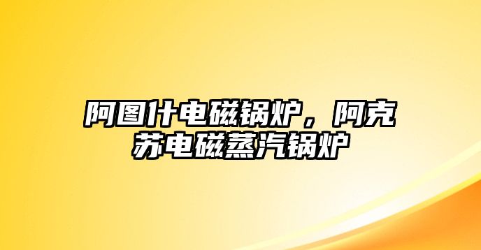 阿圖什電磁鍋爐，阿克蘇電磁蒸汽鍋爐